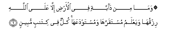 Surat Hûd